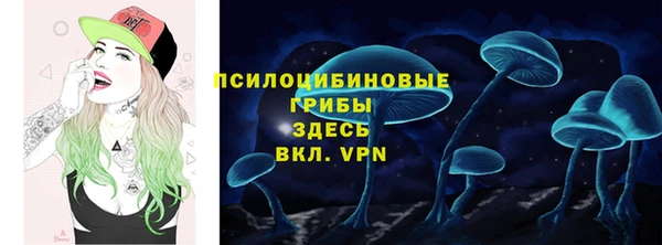 мяу мяу мука Михайловск