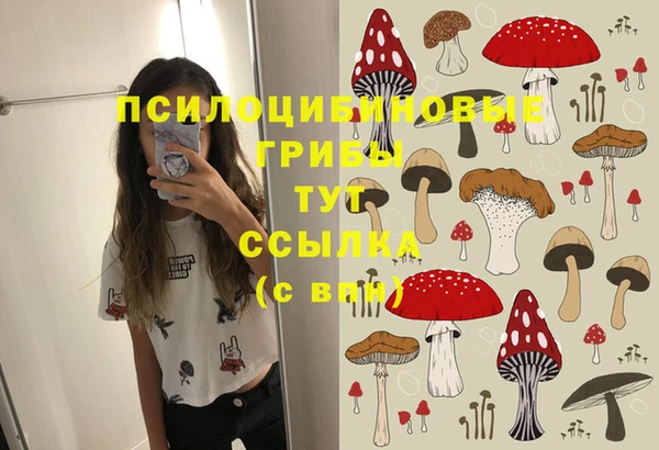 мяу мяу мука Михайловск