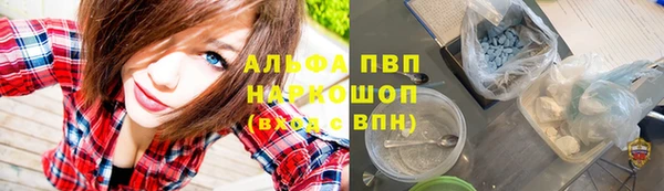 мяу мяу мука Михайлов